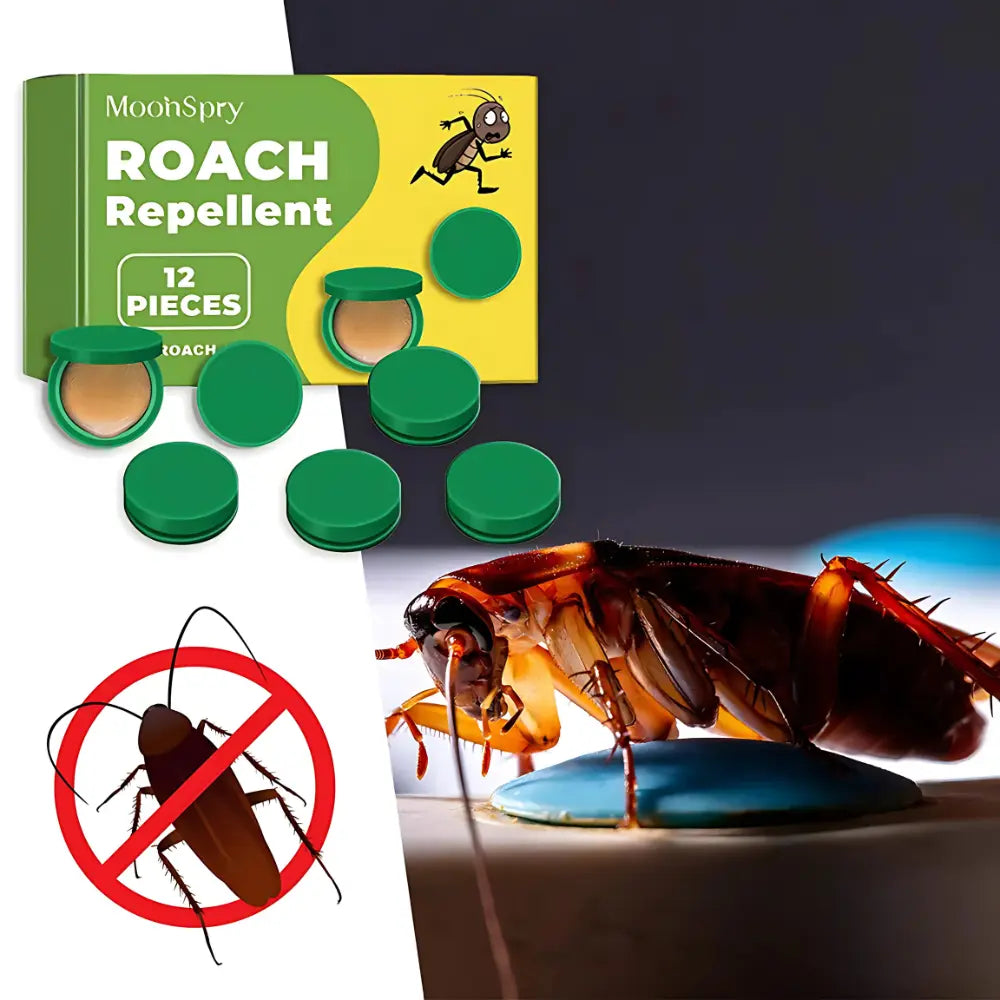 Cockroach Killer Gel (Pack of 24pc)